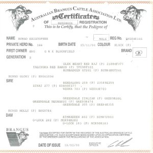 Bungo Kristopher certificate_page-0001
